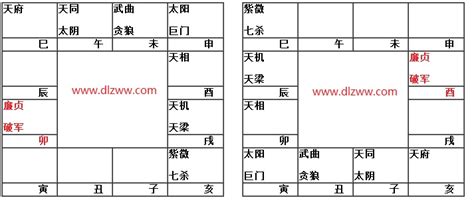 廉貞破軍酉宮